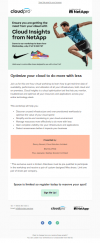 Netapp-ci-LS-email_july27B_thumbnail